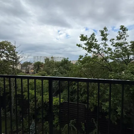 пространство у моря на дачной! アパート